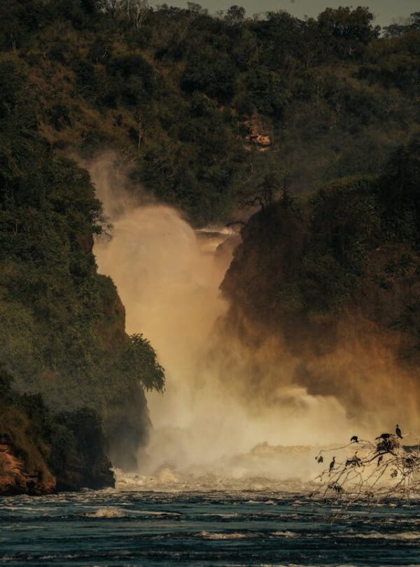 pexels-caleb-falkenhagen-216813613-29897218