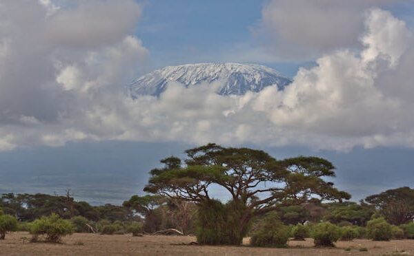 pexels-nirav-shah-6927042-15904775